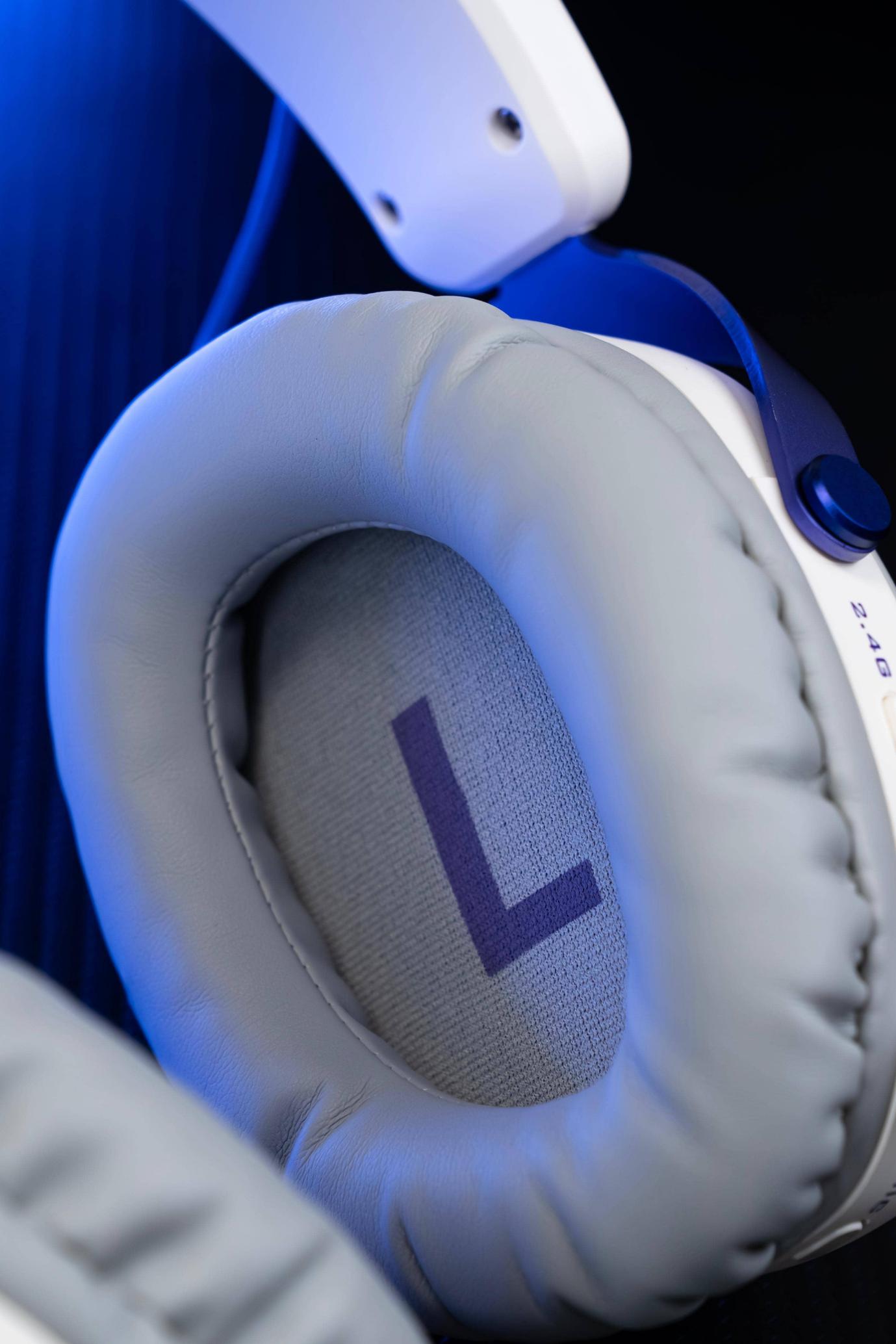 DSC08816-已增强-NR 拷贝